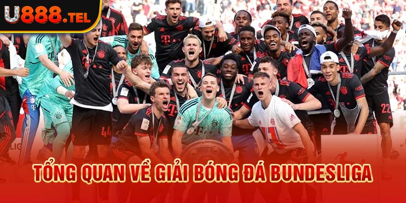 Tổng quan về giải bóng đá Bundesliga