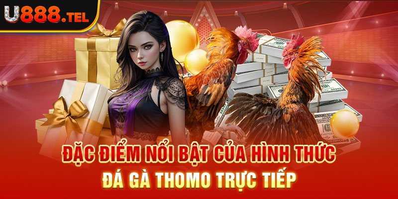 Đặc điểm nổi bật của hình thức đá gà Thomo trực tiếp