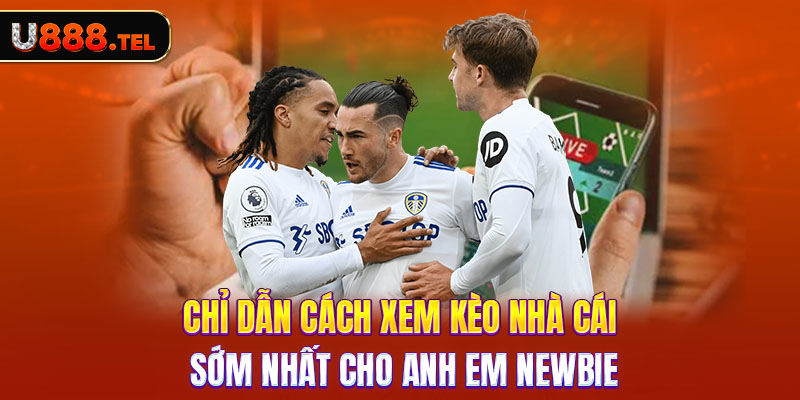 Chỉ dẫn cách xem kèo nhà cái sớm nhất cho anh em newbie