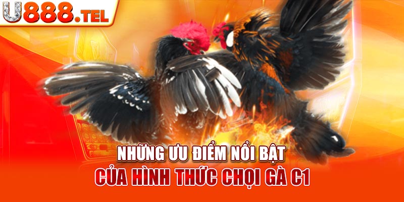 Những ưu điểm nổi bật của hình thức chọi gà c1